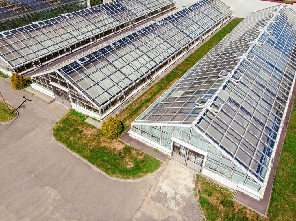 Your insect based shrimp feed farm Your insect based shrimp feed farm